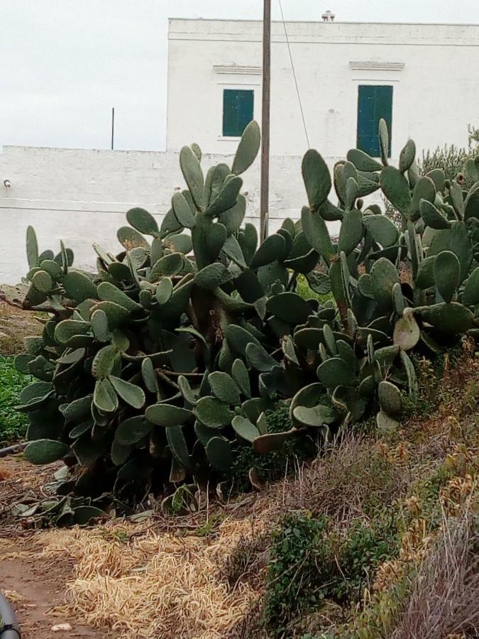 Masseria Ricci Fasano Exterior foto