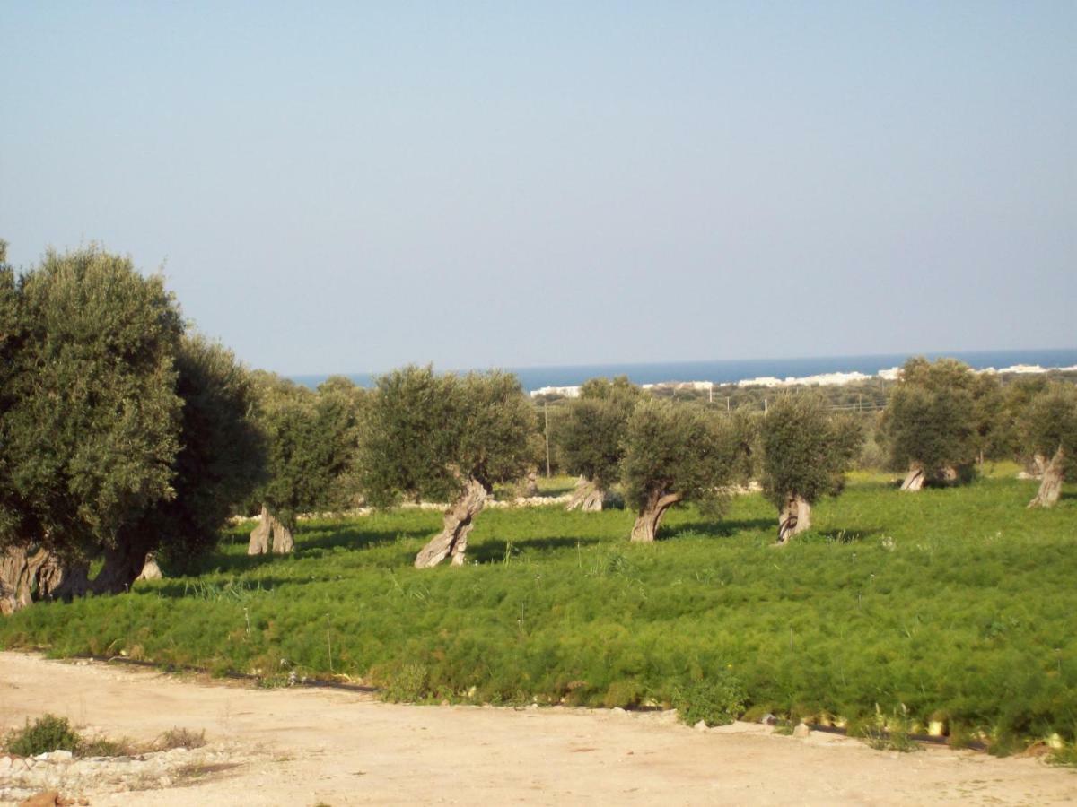 Masseria Ricci Fasano Exterior foto